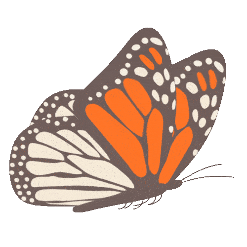 Breathwork animation